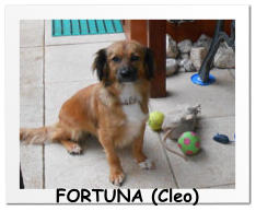 FORTUNA (Cleo)