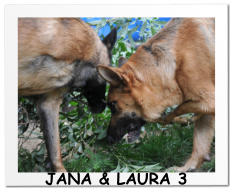 JANA & LAURA 3