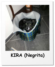 KIRA (Negrita)