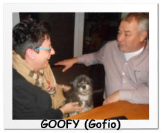 GOOFY (Gofio)