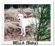 BELLA (Baby)