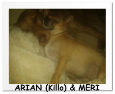 ARIAN (Killo) & MERI