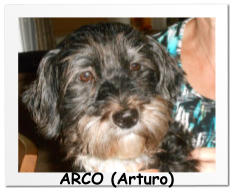ARCO (Arturo)