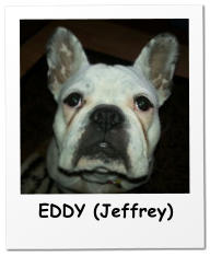 EDDY (Jeffrey)