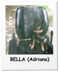 BELLA (Adriana)