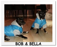 BOB & BELLA