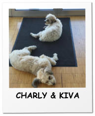 CHARLY & KIVA