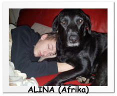ALINA (Afrika)