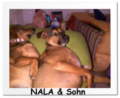 NALA & Sohn