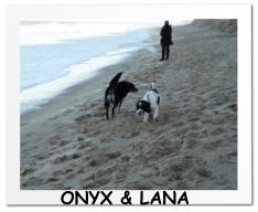 ONYX & LANA