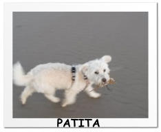 PATITA