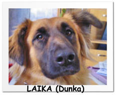 LAIKA (Dunka)