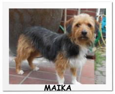 MAIKA