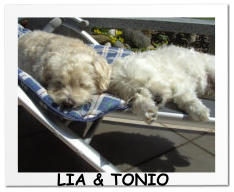 LIA & TONIO