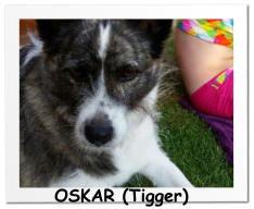 OSKAR (Tigger)