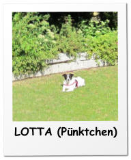 LOTTA (Pünktchen)