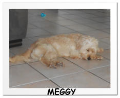 MEGGY