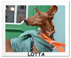 LOTTA