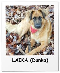 LAIKA (Dunka)