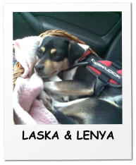 LASKA & LENYA