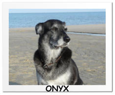 ONYX