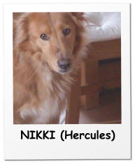 NIKKI (Hercules)