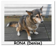 RONA (Denise)