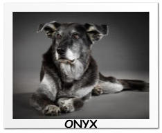 ONYX