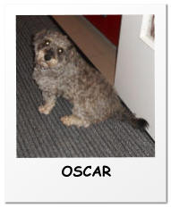 OSCAR