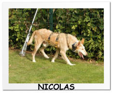 NICOLAS