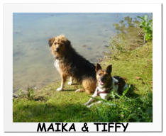 MAIKA & TIFFY