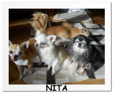 NITA