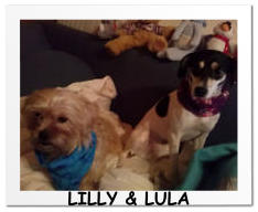 LILLY & LULA