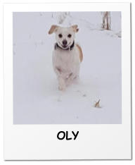OLY