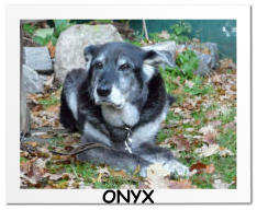 ONYX
