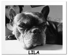 LILA