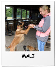 MALI
