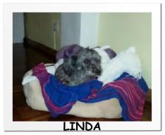 LINDA