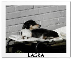 LASKA