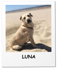 LUNA