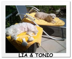 LIA & TONIO