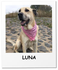 LUNA