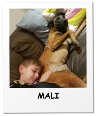 MALI