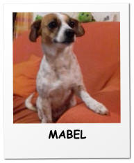 MABEL