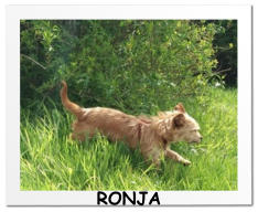 RONJA