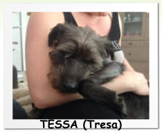 TESSA (Tresa)