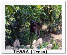 TESSA (Tresa)