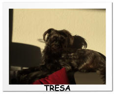 TRESA
