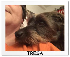 TRESA