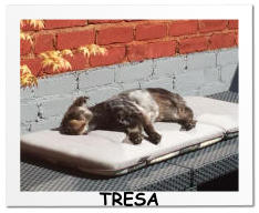 TRESA